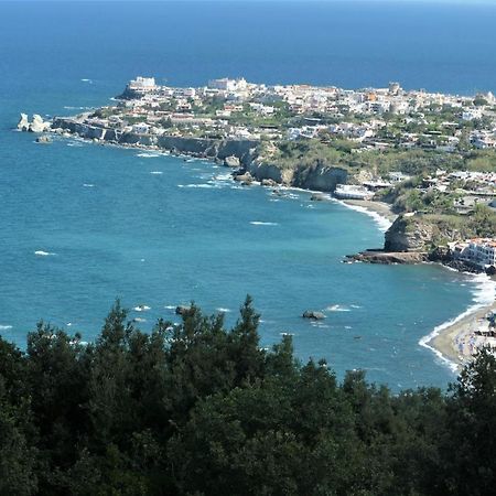 Villa Andrea Forio di Ischia Esterno foto