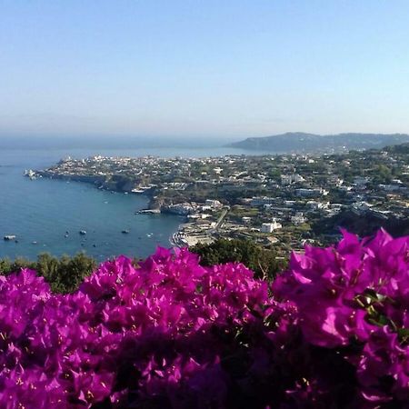 Villa Andrea Forio di Ischia Esterno foto