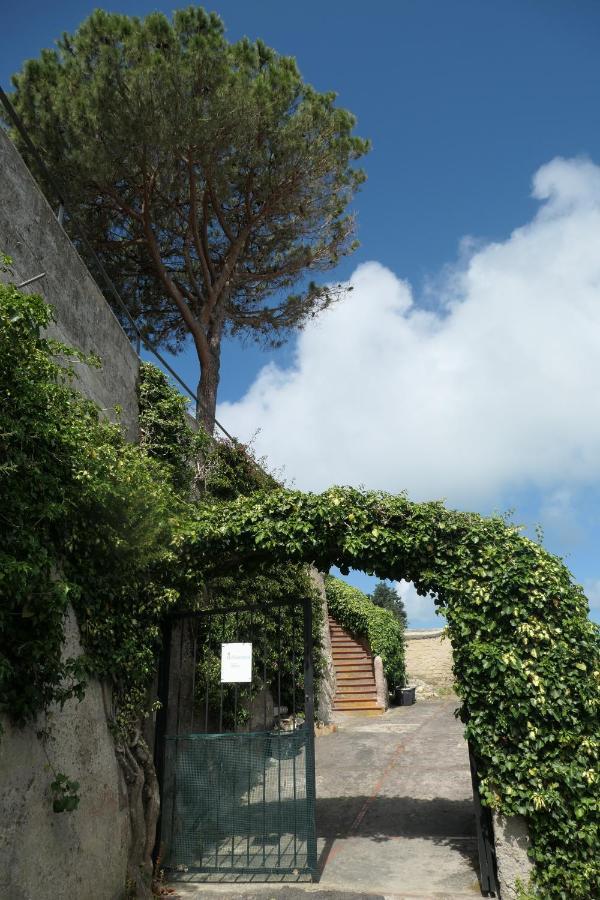 Villa Andrea Forio di Ischia Esterno foto