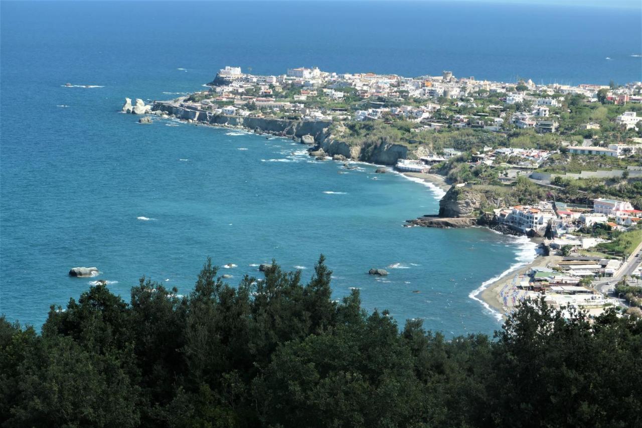 Villa Andrea Forio di Ischia Esterno foto