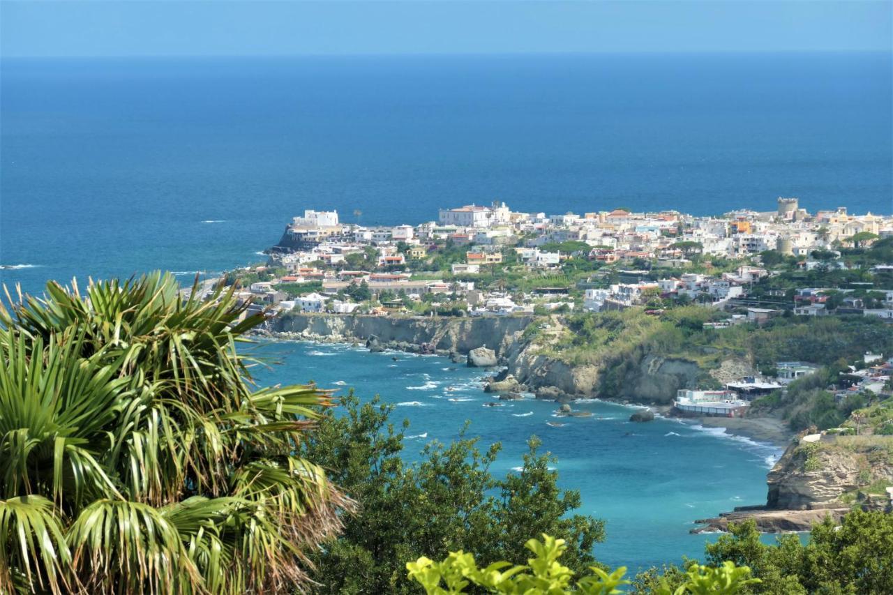 Villa Andrea Forio di Ischia Esterno foto