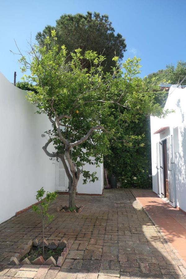 Villa Andrea Forio di Ischia Esterno foto