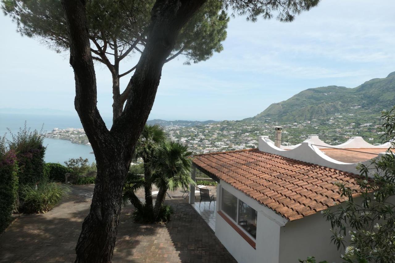 Villa Andrea Forio di Ischia Esterno foto