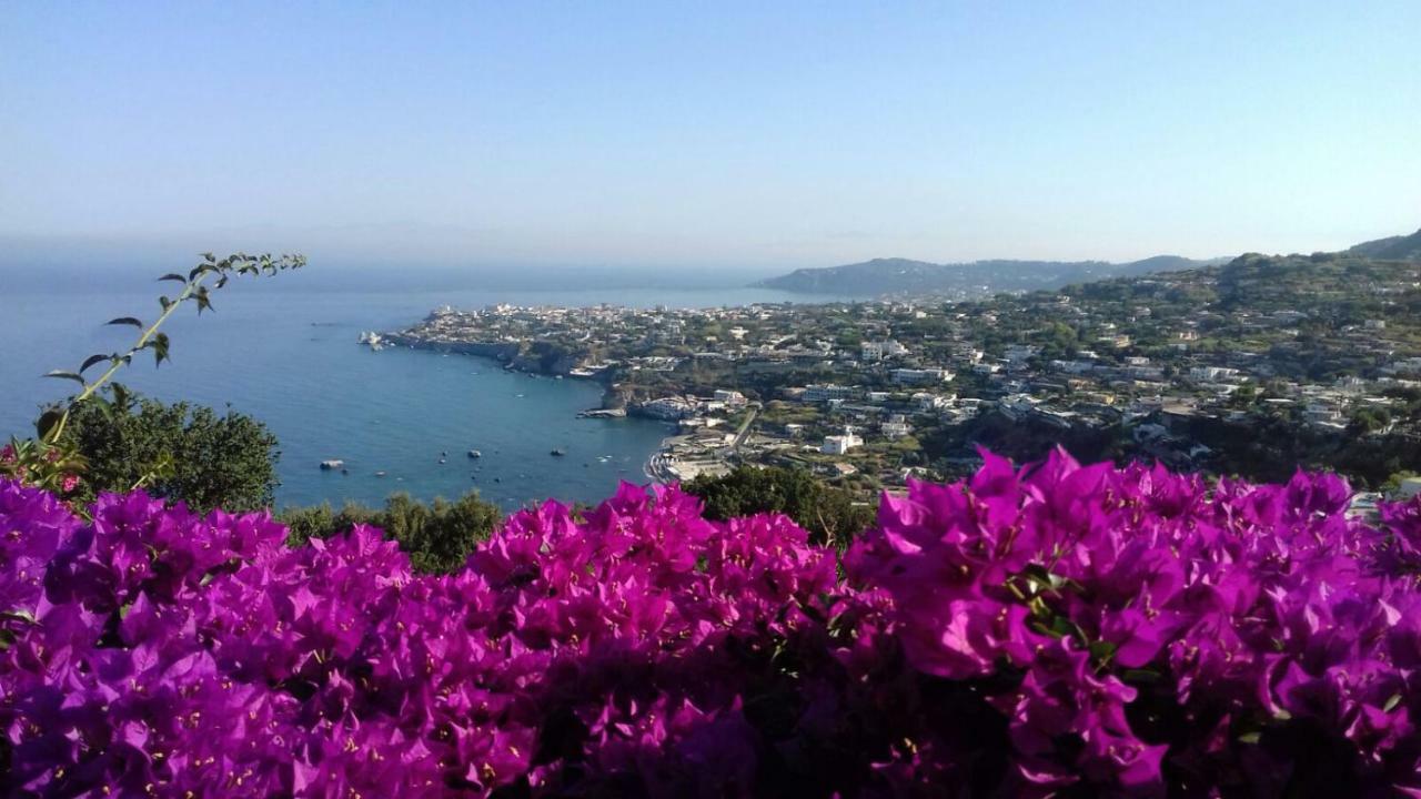 Villa Andrea Forio di Ischia Esterno foto