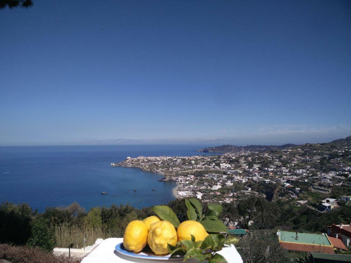 Villa Andrea Forio di Ischia Esterno foto