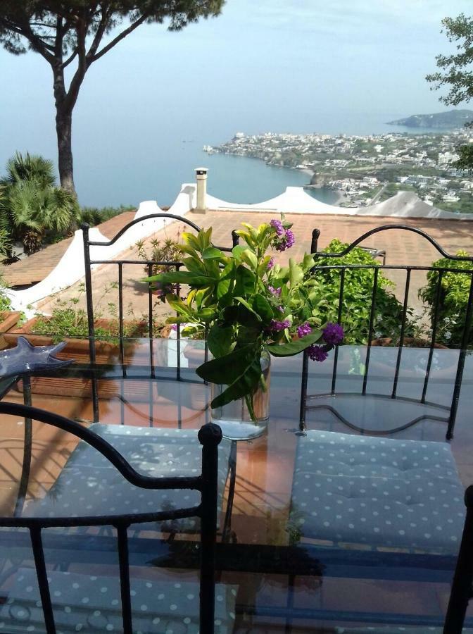 Villa Andrea Forio di Ischia Esterno foto