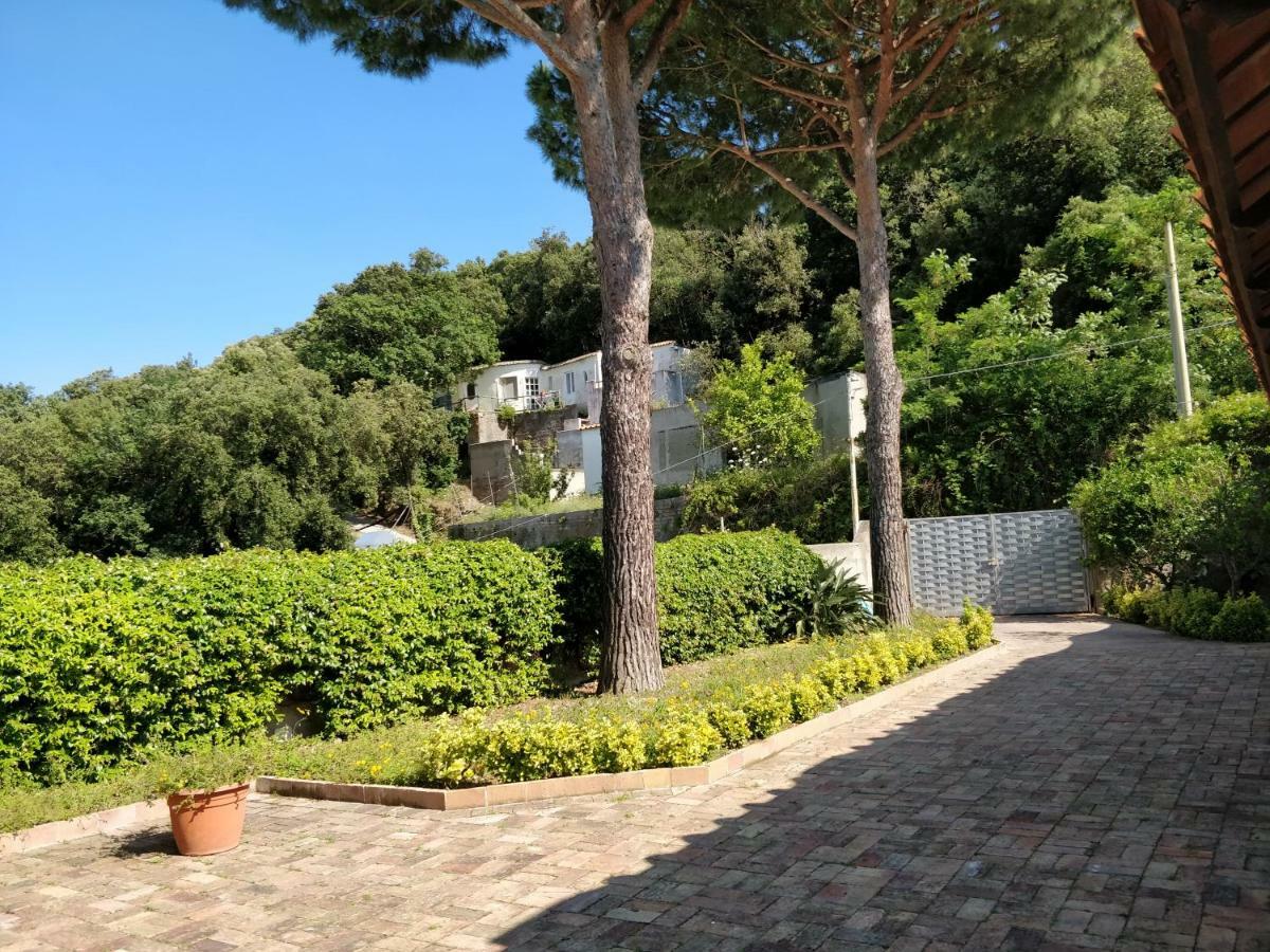 Villa Andrea Forio di Ischia Esterno foto