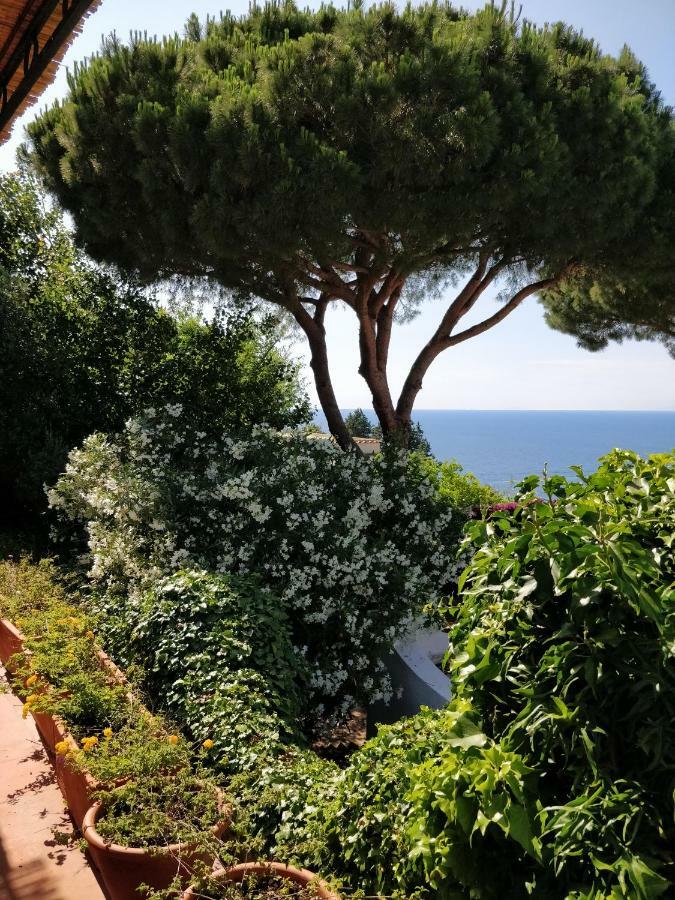 Villa Andrea Forio di Ischia Esterno foto