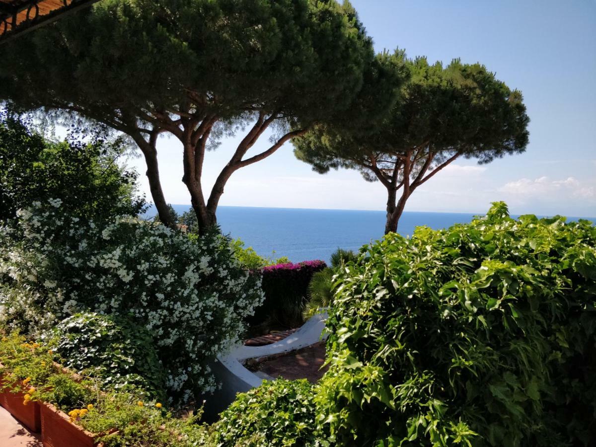 Villa Andrea Forio di Ischia Esterno foto