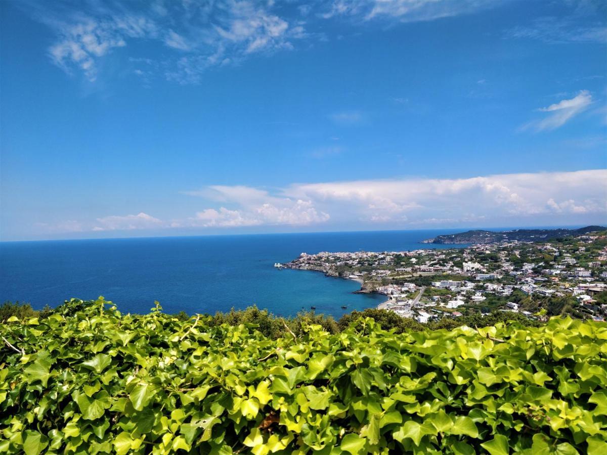 Villa Andrea Forio di Ischia Esterno foto