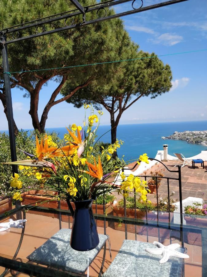 Villa Andrea Forio di Ischia Esterno foto