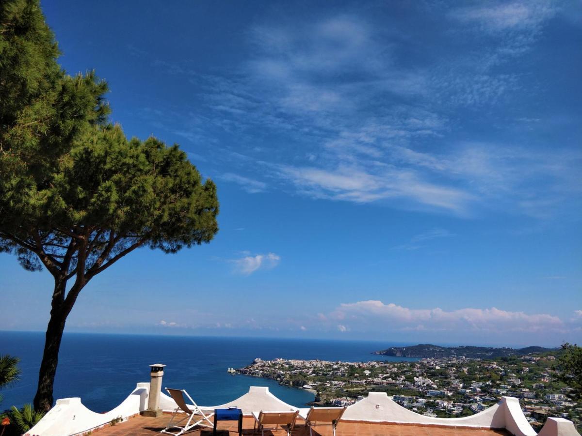 Villa Andrea Forio di Ischia Esterno foto